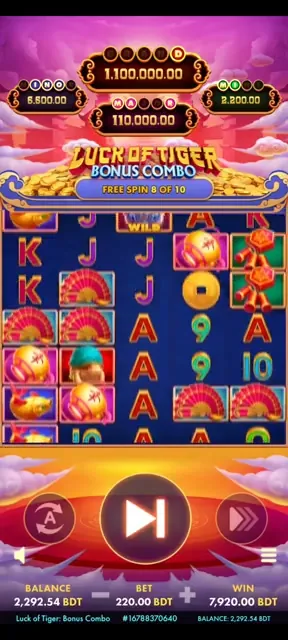 Luck of Tiger
